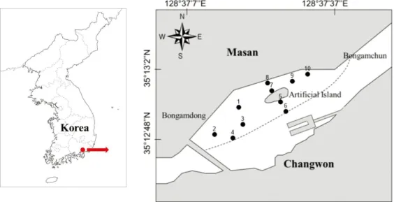 Fig. 1. The study area and sampling sites in the Bongam tidal flat of Masan Bay.