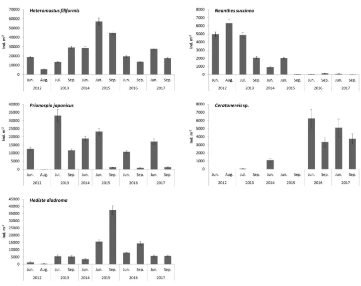 Fig. 4. The temporal abundance patterns of dominant species in the Bongam tidal flat.