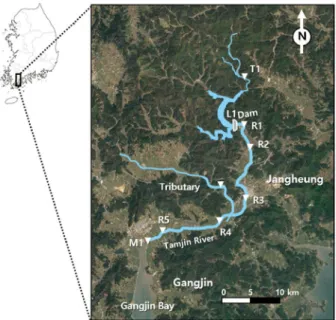 Fig. 1.  Study area and survey sites in the Tamjin River basin.