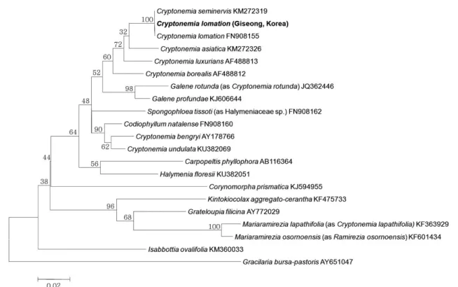 Fig. 2.    Phylogenetic  tree  of  Cryptonemia species obtained from a maximum-likelihood method based on rbcL sequences