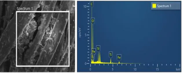 Figure  7.  SEM and EDX  image  of PET  fiber  treated  with  5-Fe5Ti5-S.