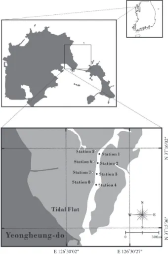 Fig. 1.   The sampling stations on the Yeongheung-do tidal flat, west  coast of Korea.