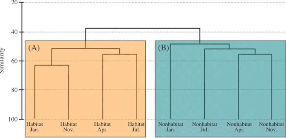 Fig. 9. Cluster analysis according to species composition of benthic macro-fauna in Yeonghung-do tidal flat.