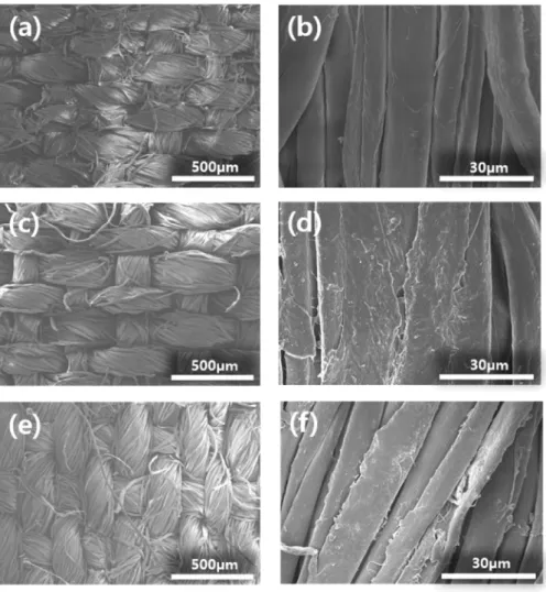 Figure  3.  SEM  images  of  untreated,  chitosan  treated,  and  APTMS  treated  cotton  fabrics  under  different  manifications;  (a,  b)  untreated cotton  fabric, (c,  d)  chitosan treated  cotton  fabric,  (e,  f)  APTMS treated  cotton  fabric.