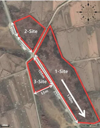 Fig. 1. Survey sites at the Eundae­ri wetlands area.