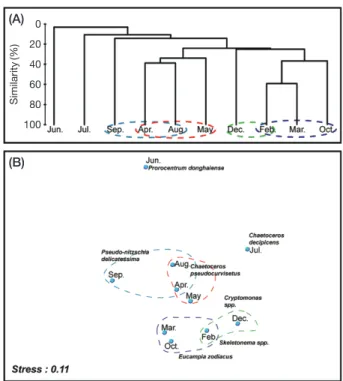 Fig. 8.   Joint plots of sites association analyses obtained by cluster (A) and multidimensional scaling (MDS) ordination  analy-ses (B), using a data set of the surface species abundances  during the study period in the Station M (Each dashed circle  repr