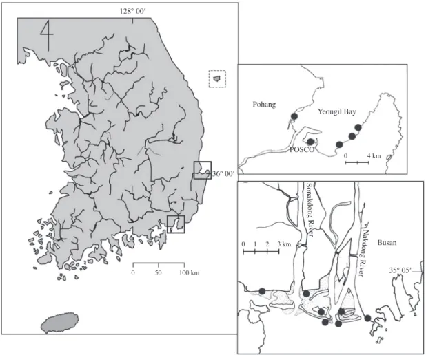 Fig. 1.   Map of the Nakdong River Estuary, sand bars and sandflats (dotted areas) are developed parallel along the coast