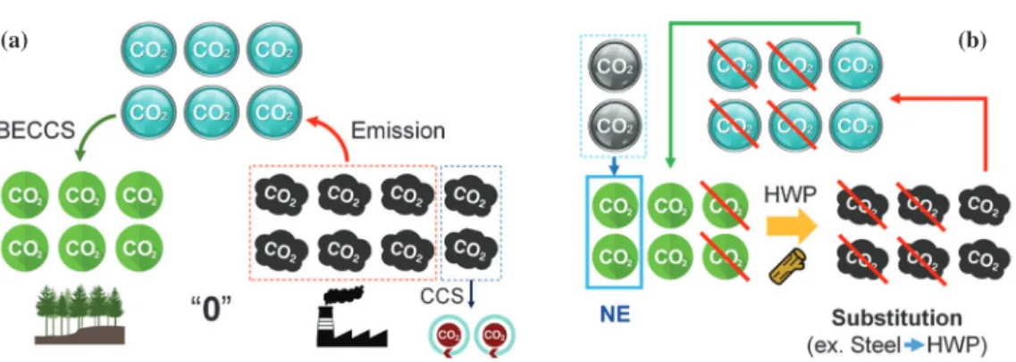 Fig. 7.   The concept of (a) maximization of carbon stocks in forests and (b) optimization of carbon stocks and negative emission in forests