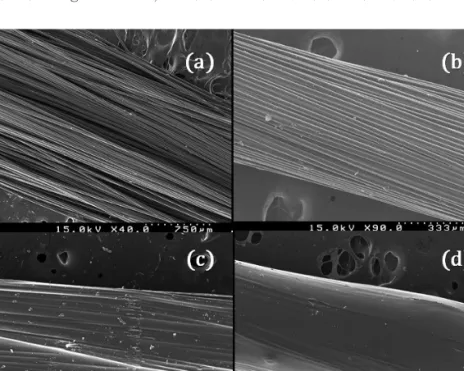 Figure 10. Cross-section of PET coating under different dip solution condition: (a) untreated PET, (b) only epoxy dip coated, (c) only silicone adhesive coated and (d) epoxy dip and silicone adhesive coated.
