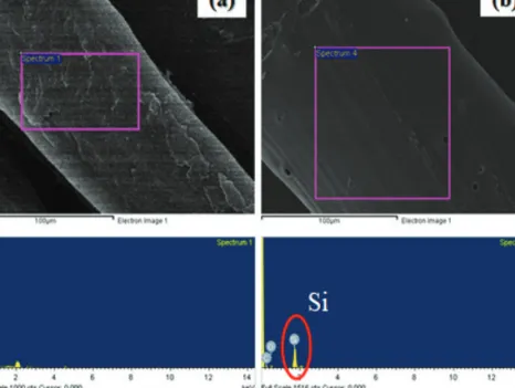 Figure 13. Thermal characterization of untreated PET and silicone coated PET: (a) untreated PET and (b) silicone coated PET.