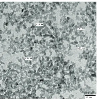 Figure 2. TEM image of TiO 2 nanoparticles in TiO 2 colloid solution.