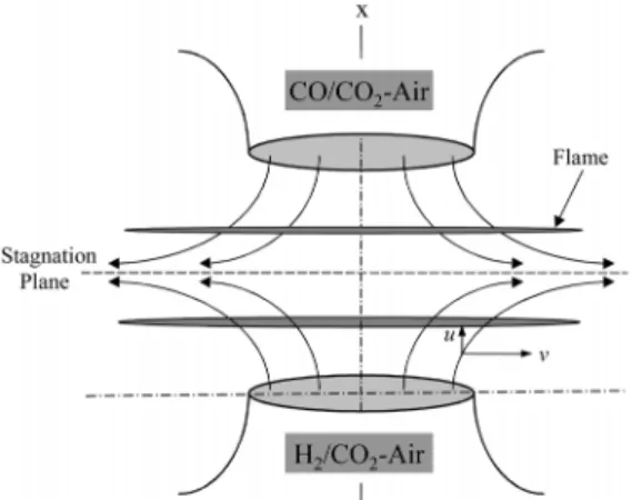 Fig. 1. Schematic of the present flow configuration.