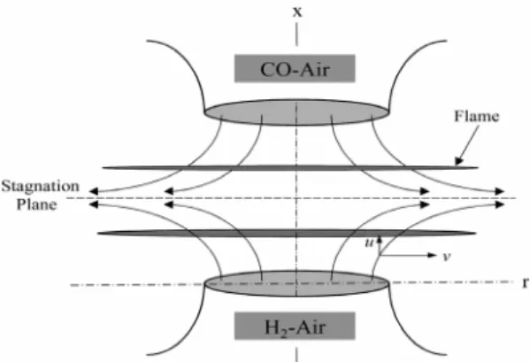 Fig. 1. Schematic diagram showing the interacting coun- coun-terflow flame configuration.