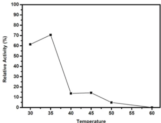 Figure  3. The  effects  of  pH  on  the  immobilized lysozyme activity.