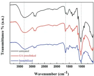 Figure 11은 키토산 부직포의 적외선 분광 분석 결 과이다. 미처리 키토산 부직포, 글루타알데하이드를 이용한 가교 후, 라이소자임 고정화 후의 표면 변화를 측정하였으며, 그 결과 가교 및 효소 고정화에 의해 1660~1680cm -1 범위에서 피크의 변화가 관찰되고, 피크의 세기가 커짐을 알 수 있다