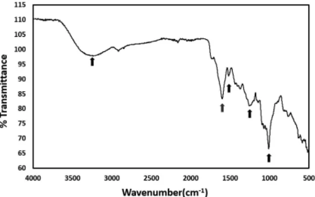 Table 2. Image of pig leather taken with scanning electron microscope(×100)