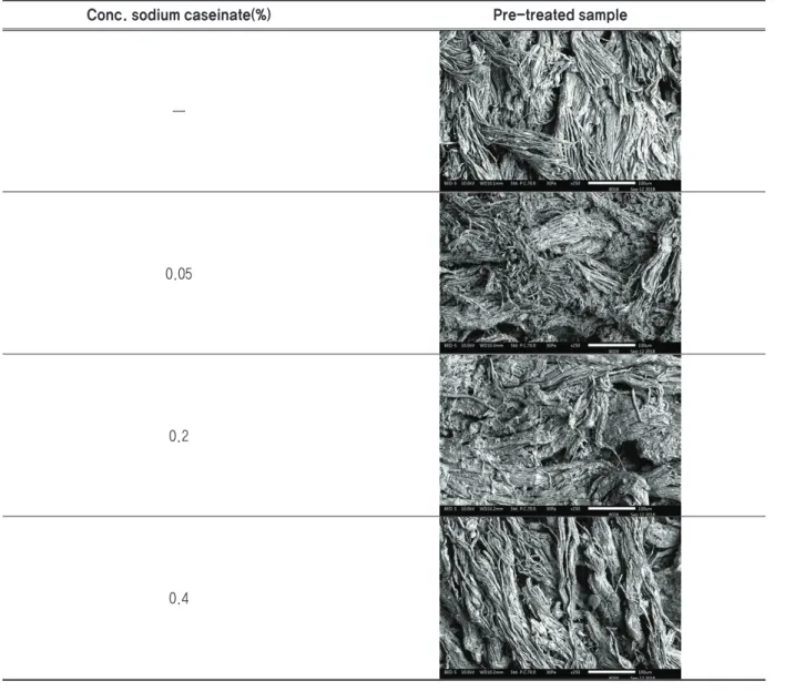Table 3. Image of pre-treated pig leather taken with scanning electron microscope(×250)