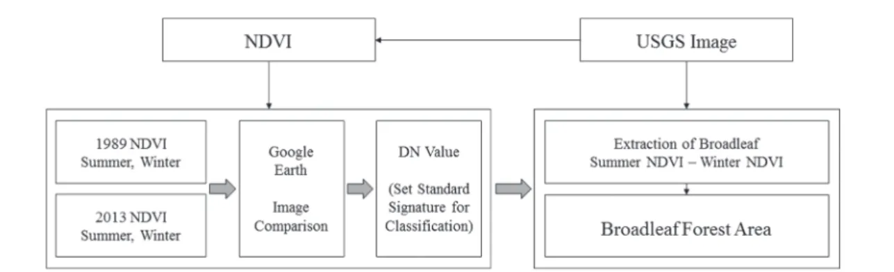 Fig. 1. Extraction of broadleaf forest by NDVI index.