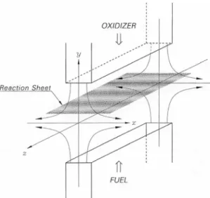 Fig. 1. Schematic diagram of the two dimensional co- co-unterflow diffusion flame.
