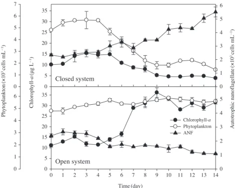 Fig. 4.   Changes in concentration of chlorophyll a and abundances of phytoplankton and autotrophic nano flagellates (ANF) in the closed sys- sys-tem (CS) and open system (OS).