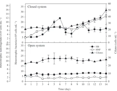 Fig. 5.   Changes in abundances of total heterotrophic bacteria (HB), heterotrophic nano flagellates (HNF), and ciliates in the closed system (CS)  and open system (OS).