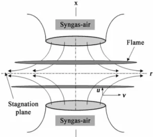 Fig. 1. Schematic of the configuration of interacting pre- pre-mixed counterflow flame.
