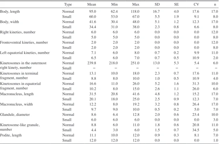Table 1.    Morphometric  characteristics  of  Dysteria brasiliensis: normal type (upper row) and small­sized type (lower row) based on protar­