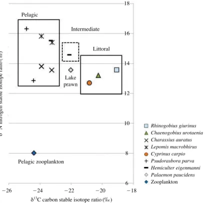 Fig. 5. Food web structure using stable carbon and nitrogen isotope ratios and major food sources estimated based on carbon isotope ratio in Jeondae Reservoir