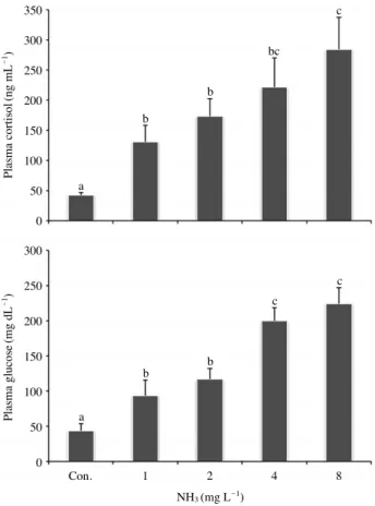 Fig. 2. Levels of gill NKA activity in Korean rockfish, Sebastes schlegeli exposed to ammonia