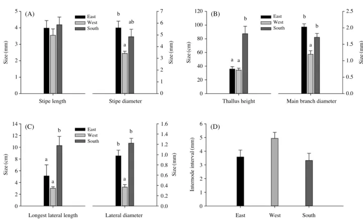Fig. 2. Morphological variations in stipe (A), thallus height and diameter of main branch (B), length and diameter of longest lateral branch (C) and internode interval (D) at nine populations from Korea