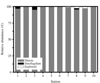 Fig. 7. Picoplankton community structure at each station (S: Sph- Sph-erical type, SF: SphSph-erical &amp; flagella type, O: Oval type, OF: