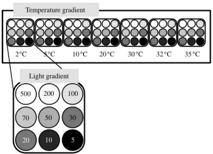 Fig. 2. Experimental design for growth rate of Skeletonema marinoi- marinoi-dohrnii complex at various temperatures (2~35� C) and  irra-diances (5~500 μmol m -2 s -1 ).