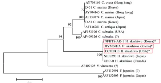 Fig. 2. Phylogenetic tree with partial 18s rDNA, ITS, 5.8 rDNA sequence (*; It means the strains which used in this study).