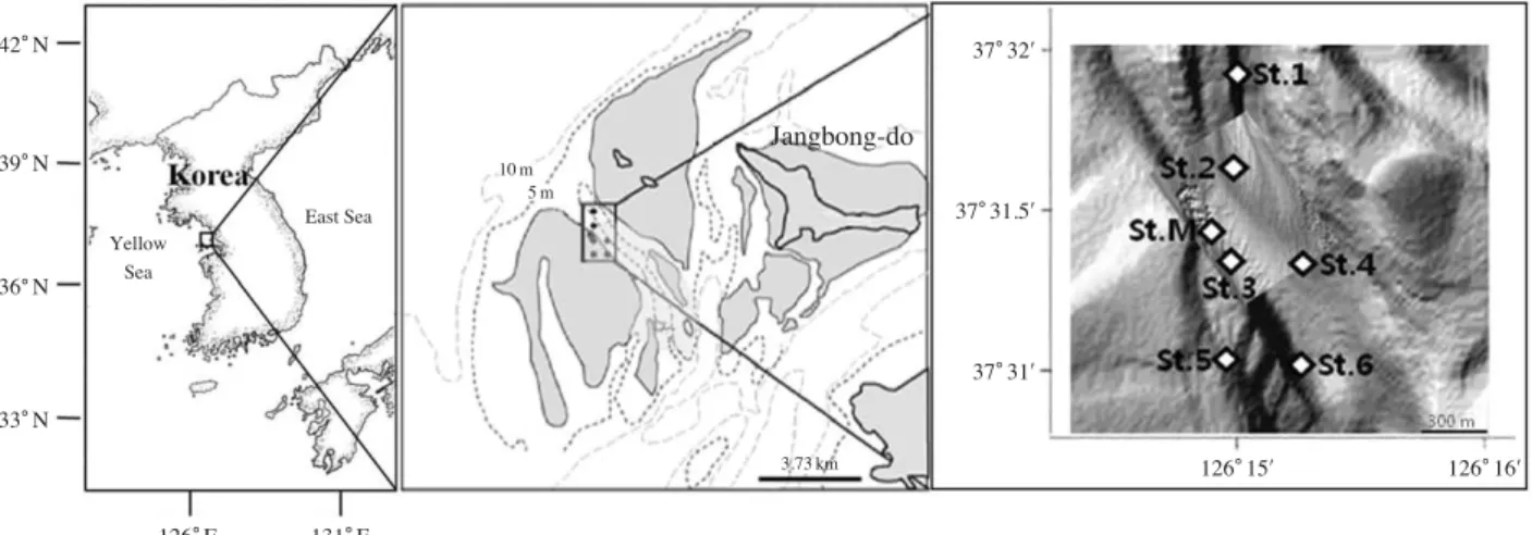 Fig. 1. Location of sampling station in sand mining area.