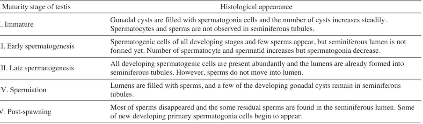 Table 1. Maturity stages of testis in R. coreana