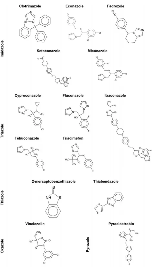 Fig. 1. Classification and molecular structure of azole fungicides. An azole is a class of five-membered nitrogen heterocyclic ring compounds containing at least one other non-carbon atom of either nitrogen, sulfur or oxygen