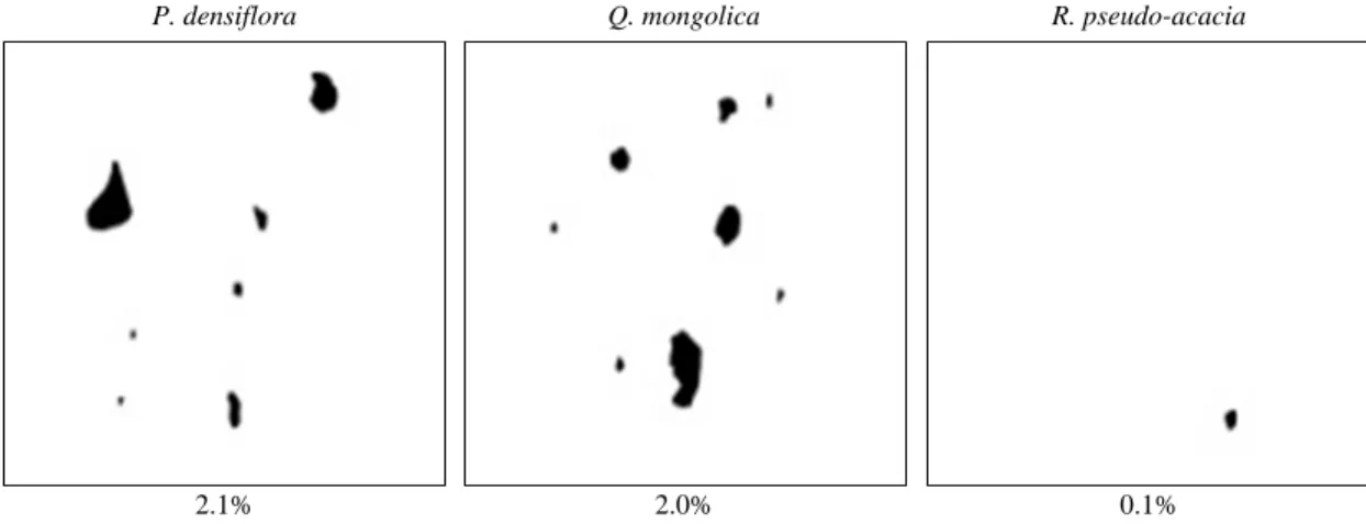 Fig. 5. Maps of rock distribution in the study area. The black polygons indicate location and area of the rocks.