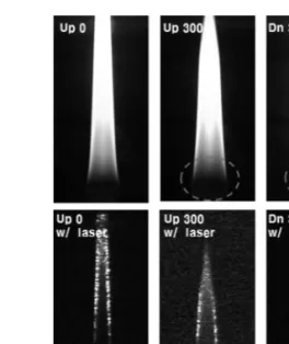 Fig. 3. Flame and light scattering images of 0 and 300  sccm cases (upward and downward).