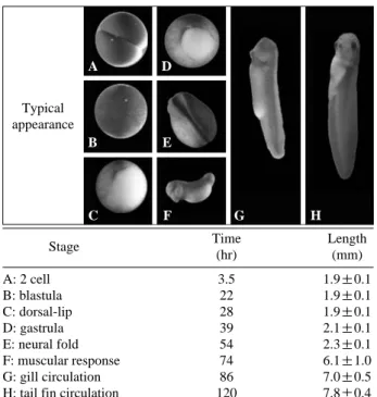 Fig. 2. Frequencies of the mortality (A), malformation (B), pattern of malformation (C) and body length (D) of Ni 2 + + -treated  Rana nigro- nigro-maculata embryo.100806040200100806040200 86420100806040200