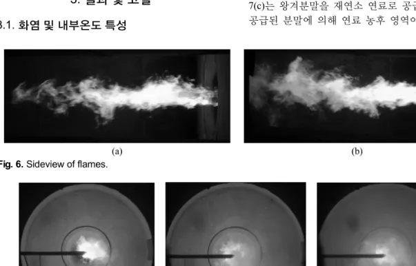 Fig. 6. Sideview of flames.