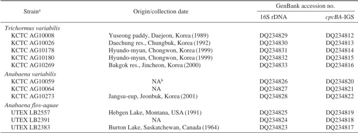 Table 1. Cyanobacterial strains used for morphological and phylogenetic analyses in this study