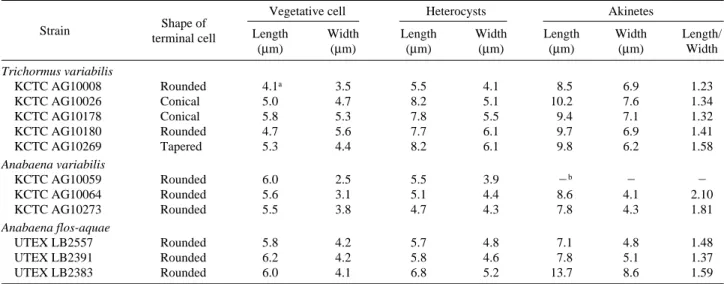 Table 3. Sequence identities of cyanobacterial strains in this study based on nucleotide-nucleotide BLAST (blastn) of the National Center for Biotechnology Information (NCBI)