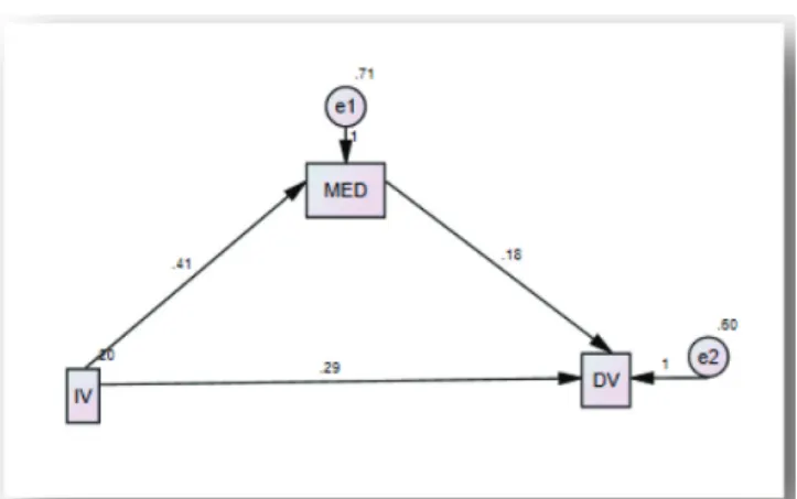 Figure 2: Path Diagram of the Relationships Between  Variables
