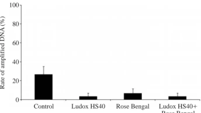 Fig. 2. The rates of amplified DNA at each experimental group after 4% Formalin fixation.