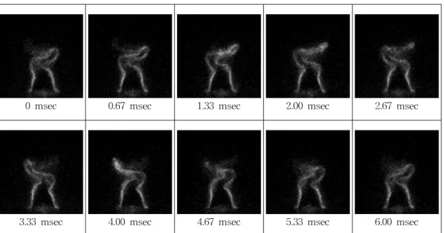 Fig.  10  Sequence  of  high  speed  photos  for  one  period  of  flame  oscillation.