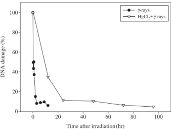 Fig. 1. Time-dependent DNA repair kinetics in coelomocytes of E.