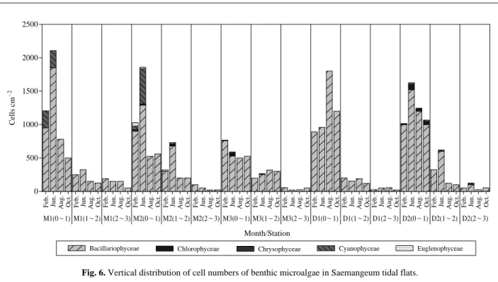 Fig. 6. Vertical distribution of cell numbers of benthic microalgae in Saemangeum tidal flats.