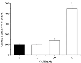 Fig. 5. Effect of CAPE on caspase-3 activation of OVCAR-3 cells.
