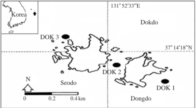 Fig. 1. A showing the sampling stations in the coast of Dokdo of Korea.Korea DOK 3 DOK 2 Dongdo DokdoSeodo00.20.4 kmN DOK 1 37�14′18′′N131�52′33′′E