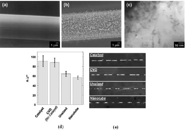 Figure 2. SEM image of carbon fibers (a) before and (b) after nanotube growth, and (c) TEM image of the  nanocomposite structure near the fiber/matrix interface